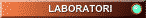 Laboratori